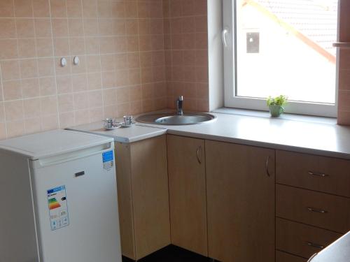 a small kitchen with a sink and a refrigerator at Sweet Apartment in Truskavets