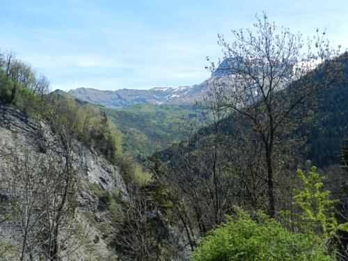 une vue sur une vallée avec des arbres et des montagnes dans l'établissement L'Epicéa, à Saint-Jean-dʼArves