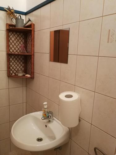 Koupelna v ubytování Apartma Peter1a