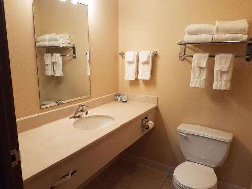 a bathroom with a sink and a toilet and a mirror at Oak Hill Inn & Suites in Canton
