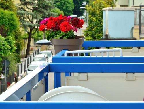 a blue railing with a pot of red flowers on it at Residence Verbena in Rimini