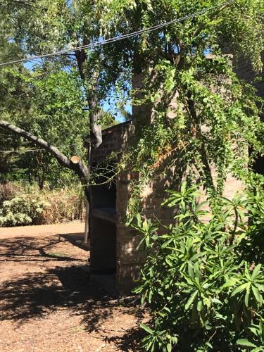a stone wall with a tree and some bushes at Cabañas Altos de Artalaz in Colón