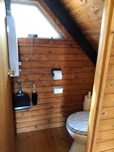 a bathroom with a toilet in a wooden wall at Pfahlbau Rust Robinsonhütte in Rust