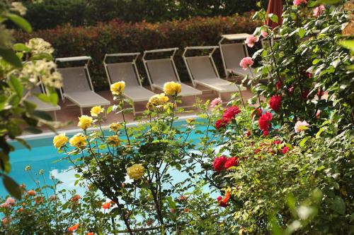 a row of chairs next to a pool with flowers at Tenuta Il Burchio in Incisa in Valdarno