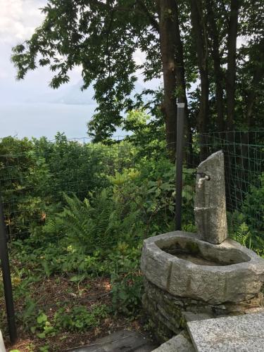 Zahrada ubytování Alba in Cà delle isole
