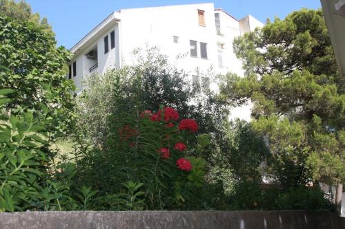 Κήπος έξω από το Apartment Jasovic