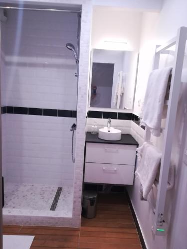 high standing apart 55m2 - reserved parking - 1 room