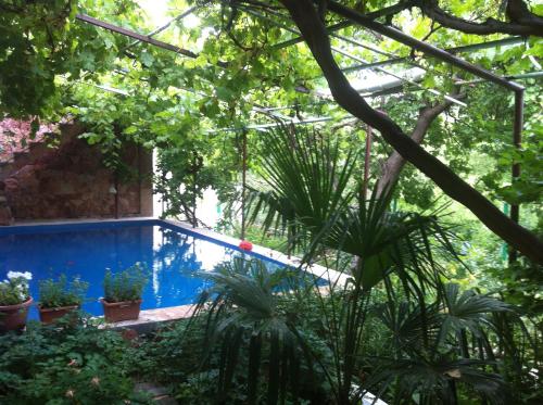 a swimming pool in a garden with plants at Gohar`s Guest House in Yeghegnadzor