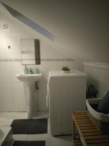 Cactus House Lisboa