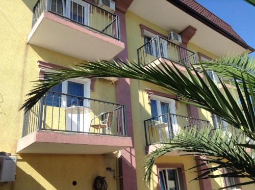 a building with balconies and a palm tree in front of it at Hotel Olympia in Adler