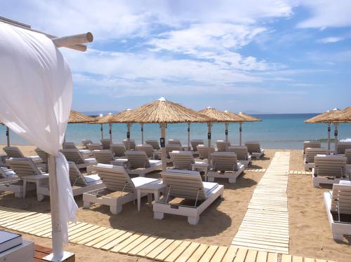 Gallery image of Amaryllis Beach Hotel in Chrissi Akti