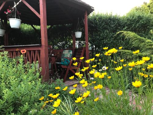 a garden with yellow flowers in front of a gazebo at Orchidea Vendégház - Zebegény in Zebegény