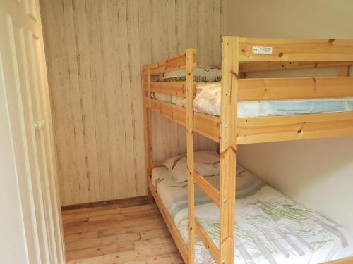 Легло или легла в стая в Alexanderpark