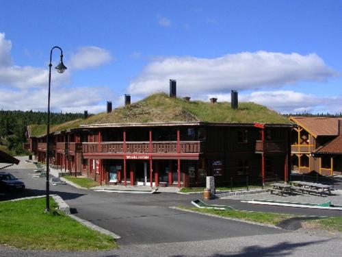 Billede fra billedgalleriet på Trysil Høyfjellssenter, Fageråsen i Trysil