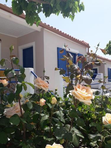 Κήπος έξω από το Panorama Apartments