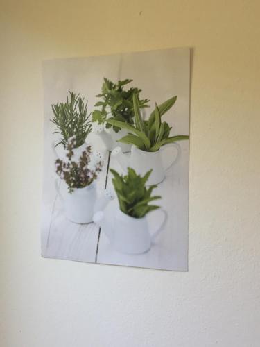 a picture of four plants in white pots on a wall at Ferienwohnung Am Sonnenhang in Strobl