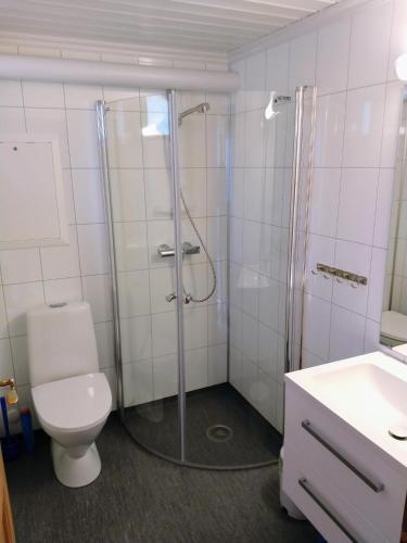 a bathroom with a shower and a toilet and a sink at Hogstul Hytter - Apartment North in Tuddal