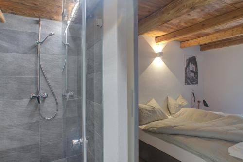 a bathroom with a shower and a bed in it at MyVerzasca Resort Ai piee in Brione