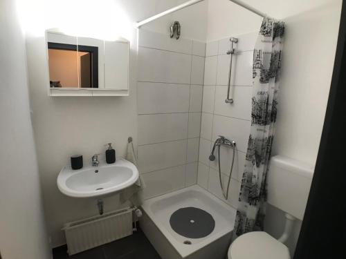 een kleine witte badkamer met een wastafel en een toilet bij Living @ Klassvilla Weserwehr No. 1 in Bremen