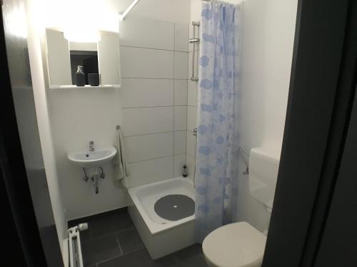 a small bathroom with a toilet and a sink at Living @ Klassvilla Weserwehr No. 5 in Bremen