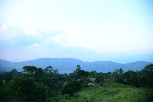 Paisaje cerca de este hotel