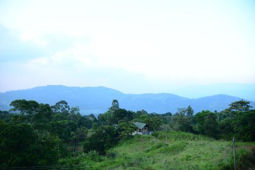 Paisaje cerca de este hotel