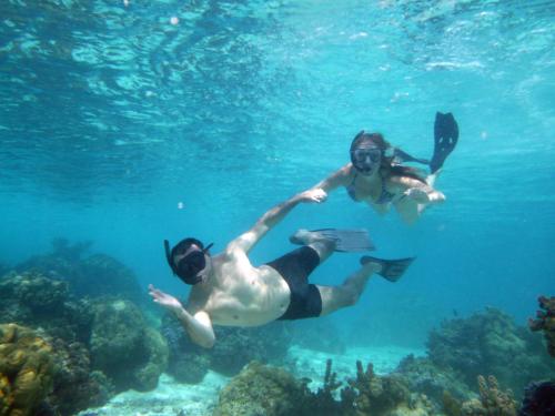 two people are swimming in the water at Pension Les Trois Cascades in Uturoa