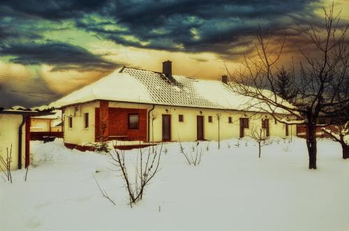 a house is covered in snow in a field at Hanság Vendégház in Kapuvár