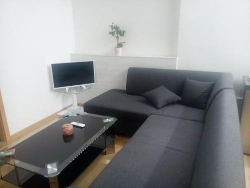 a living room with a couch and a table at Pension U pálenice in Hrabětice