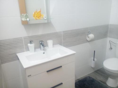 a white bathroom with a sink and a toilet at Pension U pálenice in Hrabětice
