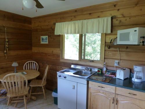 a kitchen with a stove and a sink and a table at Mica Mountain Lodge & Log Cabins in Tete Jaune Cache