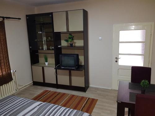 Apartments Cvetkovic Relaxにあるテレビまたはエンターテインメントセンター