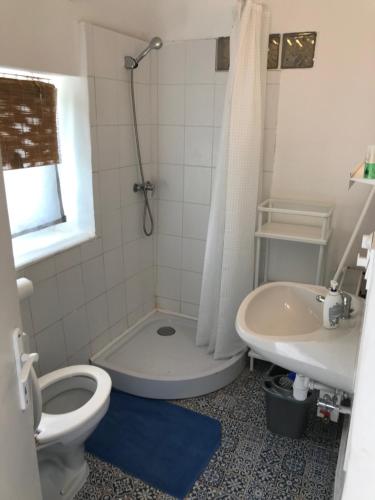 a bathroom with a toilet and a sink and a shower at Gólyásház apartman in Kővágóörs