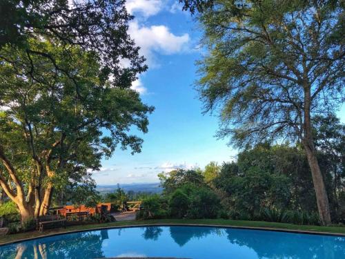 a swimming pool in a yard with trees at Phophonyane Falls Ecolodge in Piggs Peak