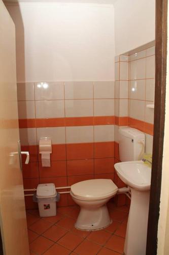 a bathroom with a toilet and a sink at **ETNO Vila** - KRUSEVO in Kruševo
