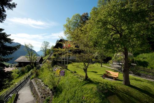 a park with a bench and trees on a hill at Hotel Sonnenberg in Grindelwald