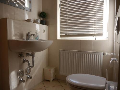 La salle de bains est pourvue d'un lavabo, de toilettes et d'une fenêtre. dans l'établissement Ferienwohnung Lilly, à Karlshagen