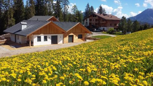 a house on a hill with a field of yellow flowers at chalet soredl in Antermoia