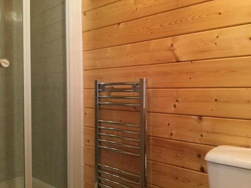 a bathroom with a toilet and a wooden wall at Bodnolwyn Wen in Llanbabo