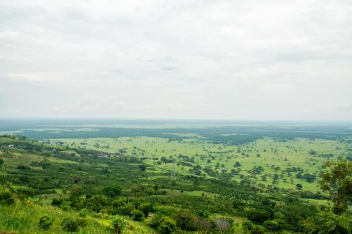 Gallery image of Queen Elizabeth PVT Lodge in Kichwamba