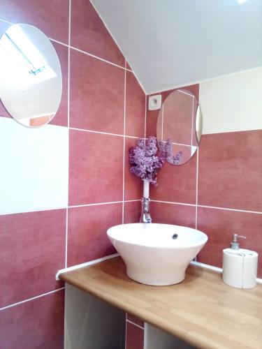 une salle de bain avec un lavabo et un miroir dans l'établissement La Montagne de Bellot, à Bellot