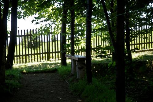 Zahrada ubytování Agroturystyka Wichrowe Wzgorze