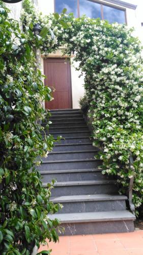 Taman di luar B&B Il Melograno