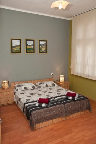 a bedroom with a large bed in a room at Hostel Mostel Hub Rooms and Apartments in Sofia