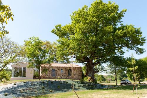 a house with a tree in front of it at Casa das Landras in Chantada
