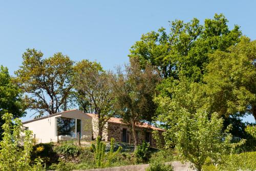 a house in the middle of trees at Casa das Landras in Chantada