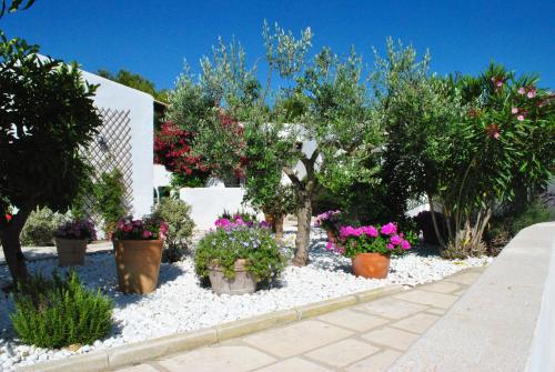a garden with potted plants and trees and flowers at Maison l'Etrier in Saintes-Maries-de-la-Mer