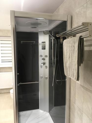 イェレニャ・グラにあるAPARTAMENT WŁODEKのバスルーム(ガラスドア付きのシャワー付)