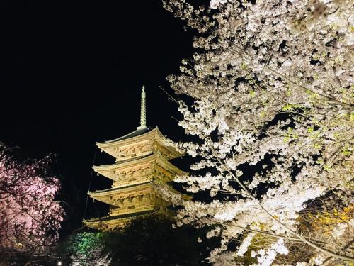 a tower with white flowers on a tree at night at Gallery Nozawa Inn in Kyoto