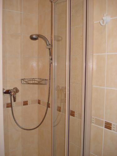 a shower with a glass door in a bathroom at Pension Král in Jablonec nad Nisou
